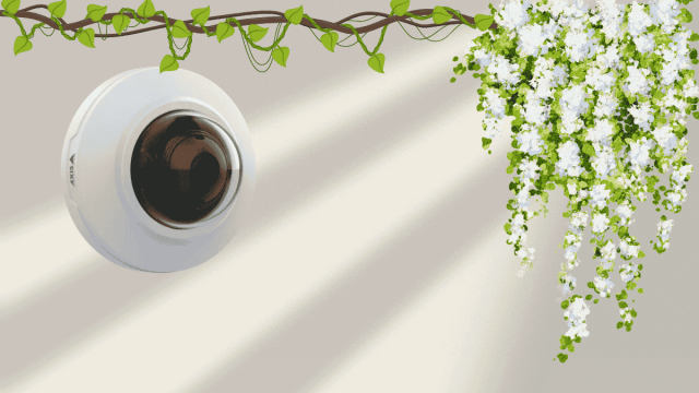 axis dome camera indoor