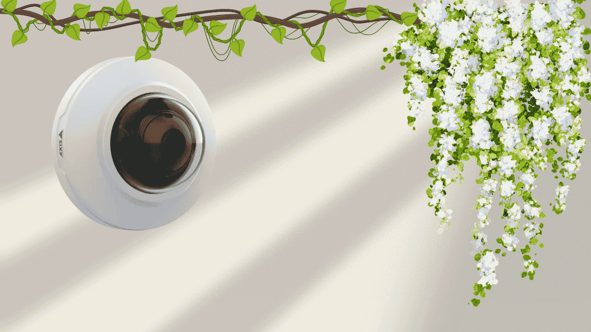 axis dome camera indoor